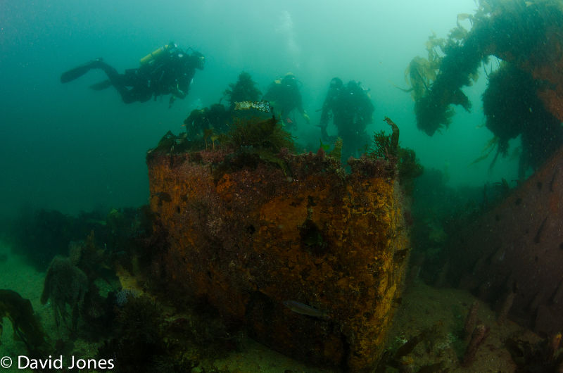 A group of divers next to an underwater ship wreck